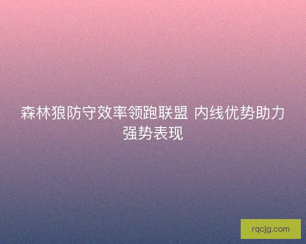 森林狼防守效率领跑联盟 内线优势助力强势表现